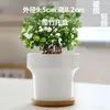 Macetas de Cerámica con Platos para Uso Doméstico al por Mayor, Macetas para Suculentas de Estilo Ins Simple Lujo Ligero Estilo Crema, Disponible para Dropshipping