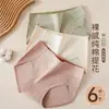 Ropa Interior de Algodón Puro para Mujer con Entrepierna de Algodón Antibacteriano Verano Fina Sin Marcas Transpirable Ropa Interior de Algodón Puro para Verano de Mujer Niñas