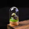 Adorno de Hongo de Piedra Cruda de Cristal Natural Micro-Paisaje Espécimen Mineral Regalo de Vacaciones Decoración Creativa para Escritorio del Hogar