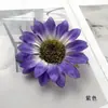 Cabeça de Flor de Girassol Colorida de Outono Headdress DIY Material de Flor Artificial Acessórios de Decoração de Parede de Flores Ornatos Florais para Fotografia