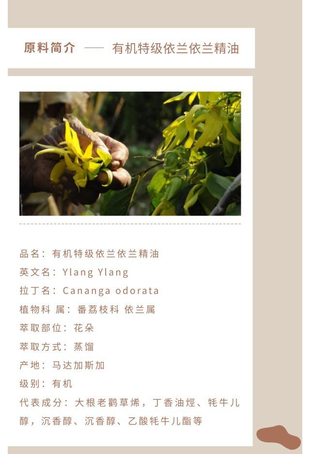 特级依兰精油.jpg