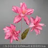 Flor de casamento atacado rosa cor dopamina caminho de casamento vaso doméstico arranjo de flores flor Monet