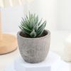 Luke Mini Suculenta Venta al por Mayor Pequeña Planta en Maceta Adornos Flores Artificiales con Flores Artificiales en Maceta Escritorio de Oficina Plantas Verdes