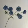 Nova Decoração de Casa com 6 Carpas Dragão e Peônias Flores Artificiais Flores Falsas Cor Gradiente Arranjo de Flores para Corredor de Casamento Enfeites para Vitrine