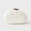 Bolso Cruzado de Hombro Único de Nuevo Estilo Europeo y Americano para Mujer 2025 Bolso Acrílico con Forma Especial de Concha Bolso Clutch de Moda para Boda o Cena