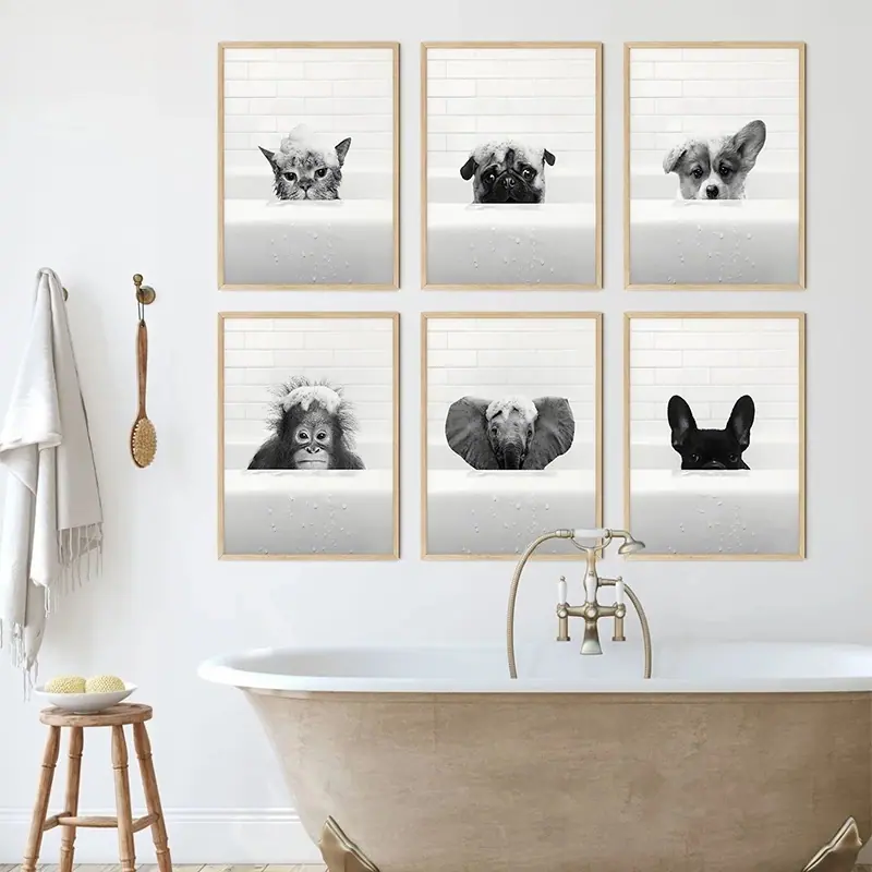 New-Arrival-Black-White-Animal