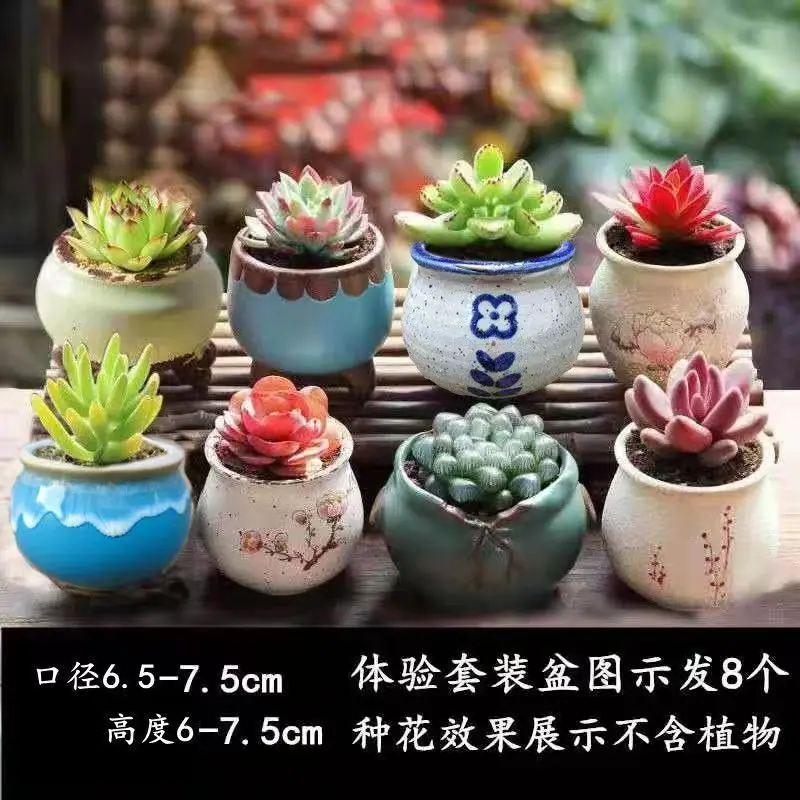 体验装8个