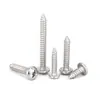 Tornillos Autorroscantes de Cabeza Plana de Acero Inoxidable 304 Gb845/Tornillos Autorroscantes de Cabeza Redonda Pa M1M2M3M4M4.8 Estándar Nacional