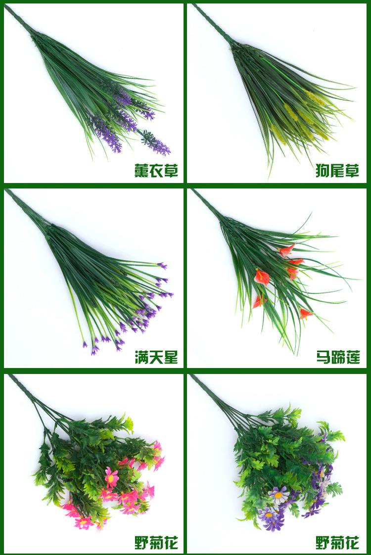 详情4.jpg