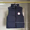 Comercio Exterior Transfronterizo Ganso Modelo 2804 Chaqueta de Plumas Unisex Chaleco Chaqueta Acolchada Cuello Alto Sin Mangas Abrigo Chaleco