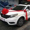 Decoración Dote de Boda Coche de Boda Hortensia Roja Coche Tienda 4s Coche de Entrega de Coche Nuevo Flor Roja Grande Coche Coche de Exhibición Bola de Flores Roja Grande