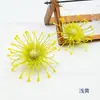 Flores de seda, flores artificiais, almofada de alfinetes de plástico crisântemo, acessórios para chapéu de formatura DIY, grampo de cabelo com flor artificial, cabeça de flor artificial crisântemo garra de caranguejo