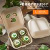 Caja de Empaque Tuan Verde Tiramisú Horneado Snacks Postre Almuerzo Caja para Pastel Puff Snow Mei Niang