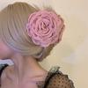 ¡Versión Alta! Pinza para el Pelo Caro Estilo Mismo Color Rosa Seco Clip de Presión Parte Trasera de la Cabeza Pinza de Tiburón Bloguero Accesorio para el Cabello para Mujeres