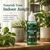 KineShineX Solução Nutricional de Alta Qualidade para Plantas Domésticas, Líquido para Cuidado de Plantas Verdes em Vasos com Elementos Traço, Água Fertilizante para Plantas