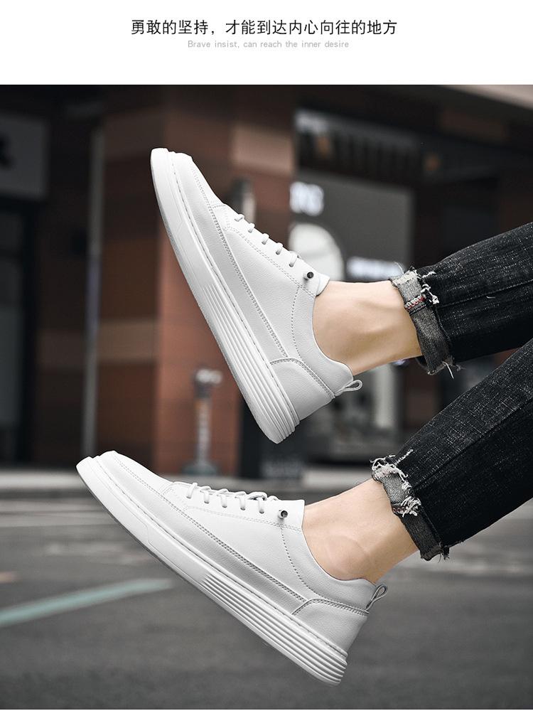 01-02-2_06.jpg?x-oss-process=image/format,png