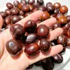 Sementes de Flores e Feijões Atacado, Pingentes de Frutas DIY, Sementes de Árvores, Pingentes de Sementes de Bodhi, Chocalhos de Sementes Originais, Atacado em Larga Escala em Estoque