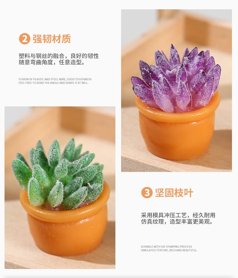 仿真多肉盆栽_10