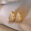 Brincos Pequenos de Argola com Zircônia Simples, Brincos de Argola Lisos de Luxo Leve de Nicho, Acessórios de Orelha Modernos e Versáteis