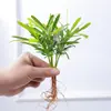 Adornos de arreglo floral para sala de estar, jarrón pequeño de cristal creativo, transparente minimalista, recipiente hidropónico para plantas pequeñas, maceta de boca pequeña