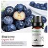 Exportación Transfronteriza Aceite Esencial Individual Fragancia Aromaterapia Masaje Aceite Esencial Sándalo Difusor Mayoreo Muestra de 10 ml