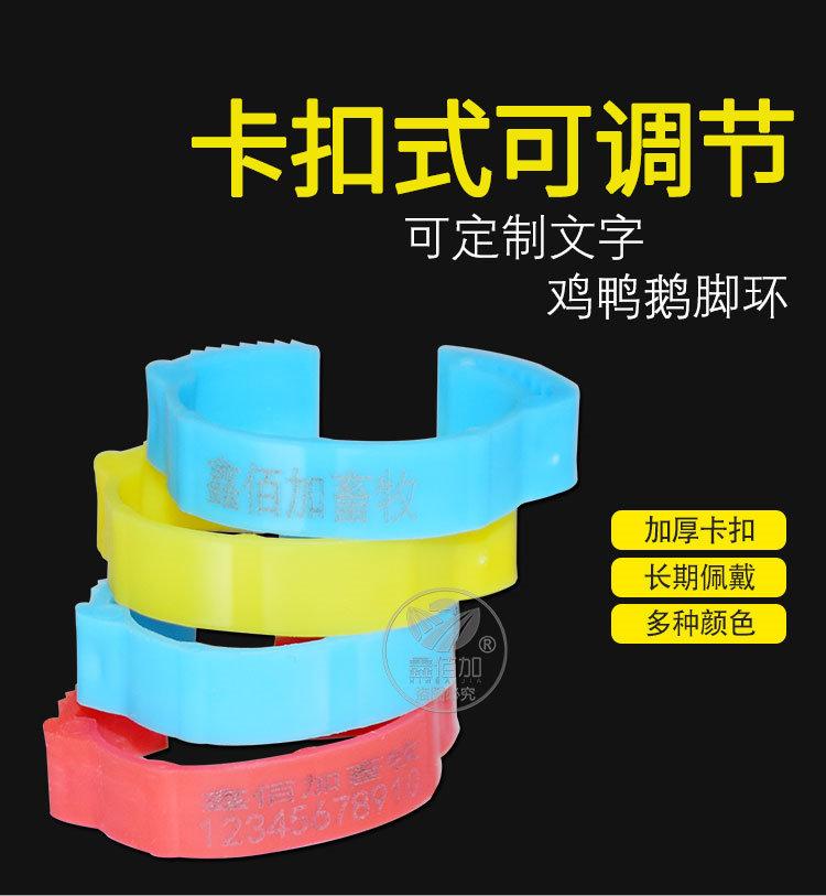 鸡脚环可调CA详情页 (1).jpg