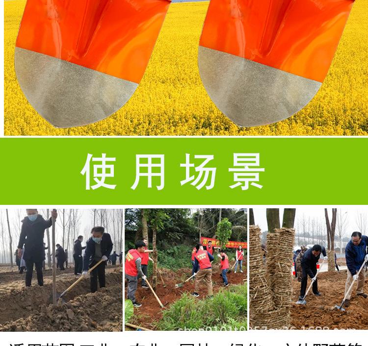 详情页模板_02.jpg