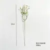 Venda Quente Transfronteiriça Flor de Simulação Haste Única Gipsofila Decoração de Casamento Buquê Flor de Plástico Flor Artificial Ornamento Adereço para Foto