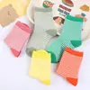Meias Listradas Infantis para Meninas, Meias Versáteis da Moda de Cano Médio, Meias Listradas Coloridas Estilo Ins, Meias Criativas Finas de Cano Médio