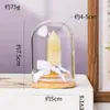 Columna de Cristal Natural Transfronteriza Flor Eterna Adorno de Tapa de Vidrio Prisma Hexagonal de Cristal Hecho a Mano DIY Flor Seca Regalo Creativo