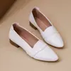 Em Estoque Sapatos Casuais Femininos Bico Fino Amazon 2026 Outono Novo Retro Salto Baixo Solado Macio Sapatos Profissionais