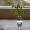 Garrafa de Vidro Borossilicato Resistente ao Calor para Cold Brew, Garrafa de Vinho Criativa, Recipiente de Vinho Simples em Vidro com Condensação Estilo Nórdico, Bule para Cold Brew das Dinastias Tang e Song