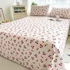 Lençol Estampado Fresco e Simples Peça Única para Dormitório Estudantil de Verão, Conjunto de Três Peças de Lençol e Fronha de Algodão Lavado Escovado para Cama de Solteiro/Casal