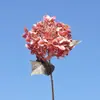 Hortensia de un solo tallo en colores otoñales retro con fruto, flor artificial HD, adecuada para decoración del hogar, bodas y estudios.