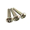 Tornillo de máquina de diente de tornillo electrónico antirrobo de acero inoxidable (T15)Tornillo de seguridad PM4*12 tipo flor de ciruelo con columna