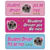 Pegatina Magnética Personalizada para Parachoques de Coche Reflectante Gatito de Dibujos Animados Bolsa Emocional Pegatina Magnética de Panal para Conductor Novato