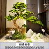 Pinheiro Artificial para Paisagismo, Podocarpus, Novo Estilo Chinês para Clube, Restaurante, Bar, Lan House, Decoração Verde, Pinheiro Artificial Estilo Zen