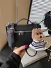 Bolso coreano de estilo fresco dopamina Otoño 2025 Moda Bolso cruzado simple con patrón de lichi para mujer