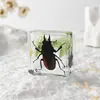 A Fábrica de Artesanato Zhongkun vende espécimes de insetos genuínos como itens decorativos, embutidos em resina de alta transparência, como brinquedos científicos educativos para crianças.