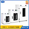 Shanghai Tite DHG-L Pequeño Vertical Caja de Alta Temperatura Acero Inoxidable Calentamiento Eléctrico Caja de Secado a Temperatura Constante Horno de Circulación de Alta Temperatura
