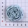 Accesorios de Resina para Manualidades de Dibujos Animados Joyería Transfronteriza Zuecos Flor Pinza de Pelo Hecha a Mano Funda para Teléfono Móvil Hebilla de Zapato Accesorios Venta al por Mayor