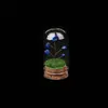 Set de Piedras Brutas de Cristal Natural, Piedra Triturada, Gemas para Árbol de la Fortuna, Minerales Raros, Muestras para Niños, Adornos de Regalo para Escritorio