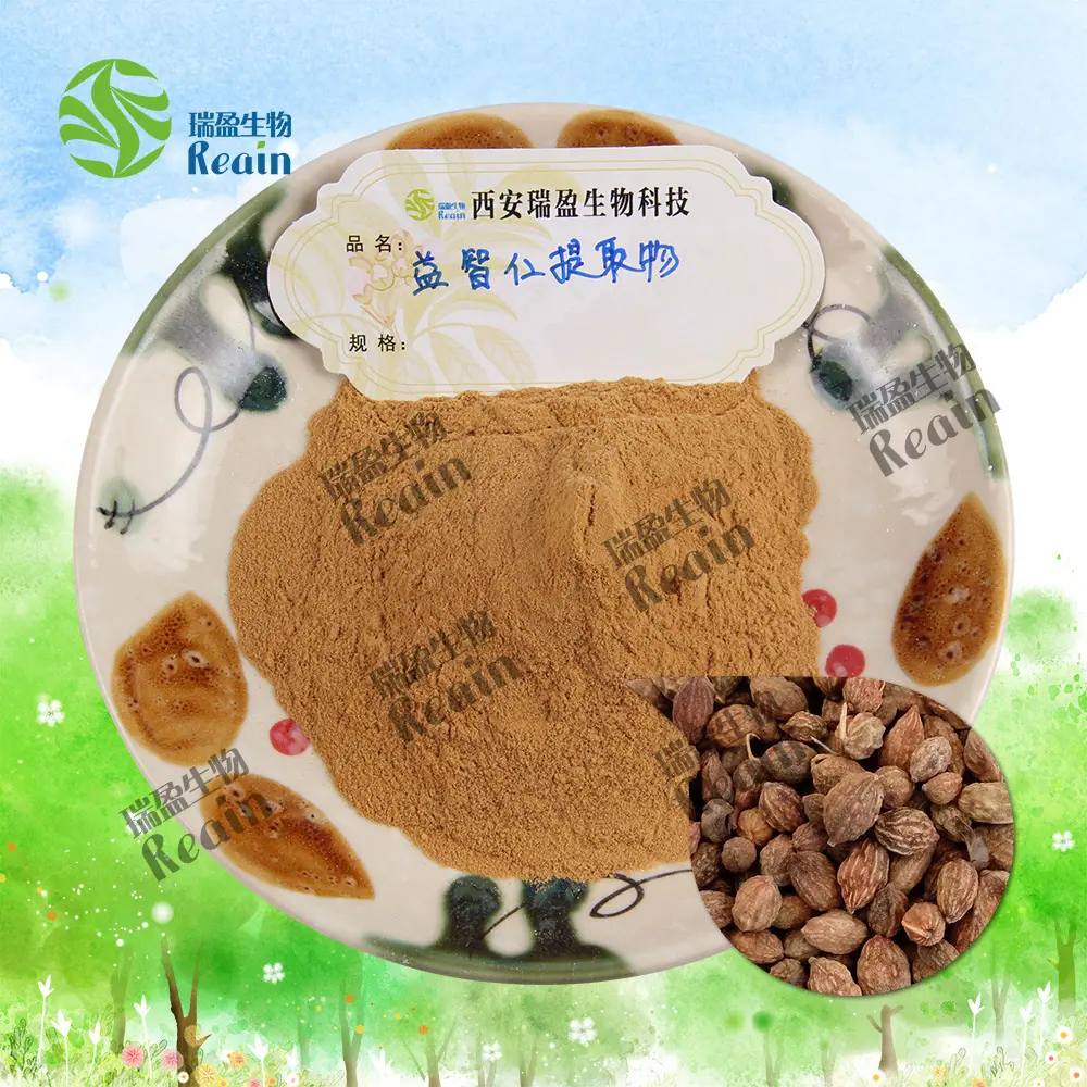 益智仁提取物原料+粉末