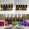 Perfume para Coche de Venta Directa Hecho a Medida 5ml 10ml Líquido de Recarga para Difusor de Aroma de Coche Aceite Esencial