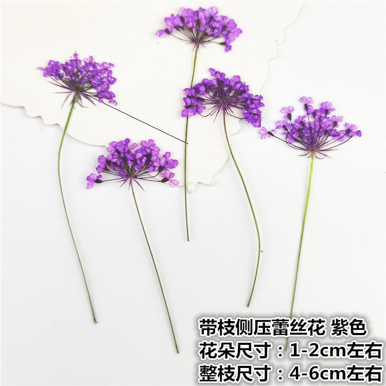 IMG20190221145734