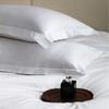 Funda de Almohada Blanca de Algodón Puro Personalizada para Hotel Hotel B&B Ropa de Cama de Lino Cubierta para Núcleo de Almohada Sobre Borde Volante Funda de Almohada