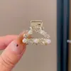 Pinza Sujetapelos Metálica para Cola de Caballo para Mujer, Pinza Pequeña de Pelo de Moda, Pinza para Cola de Caballo, Pasador Pequeño, Accesorio para el Cabello Pinza de Tiburón