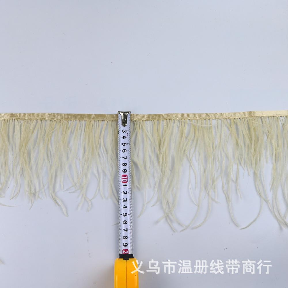 46 ostrich feather fringe 6