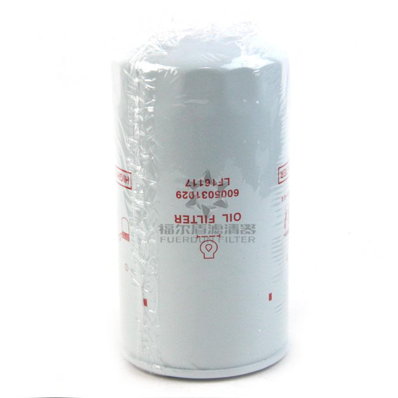 6005031029 LF16117(2)