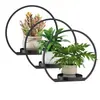 Marco de maceta de metal para plantas de interior montado en la pared Decoración de pared de plantas para sala de estar Estante colgante montado en la pared lateral de la ventana